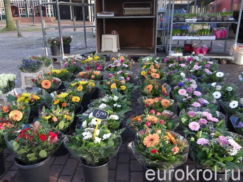 Цветы на улицах Голландии