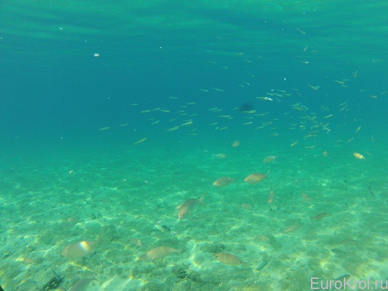 Хорватия подводная съёмка