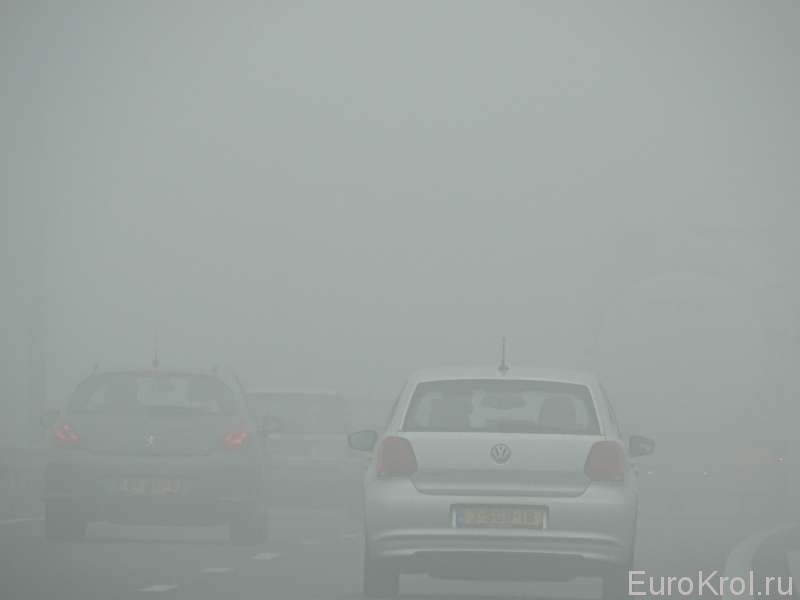 Голландия туман