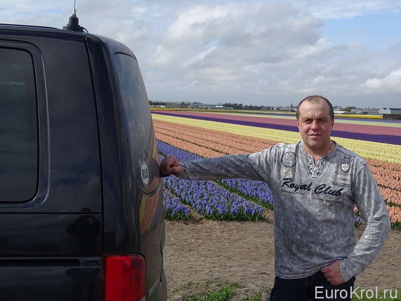 На цветочных полях в Голландии