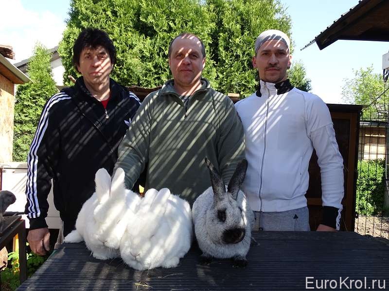 С кролиководами Словакии