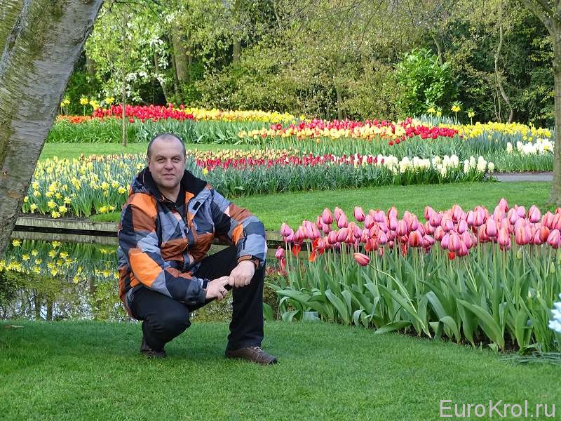 Парк цветов в Голландии