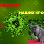 Мутирующий вирус убийца кроликов